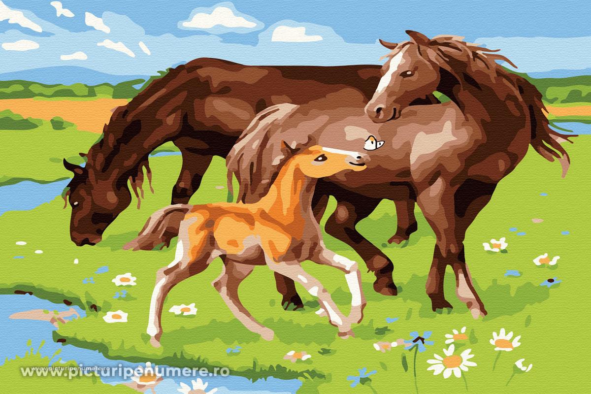 Horse family. Семья лошадей. Картина семья лошадей. Картина по номерам лошади. Семья лошадей арт.