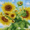 Pictura pe Numere Floarea Soarelui EX7083
