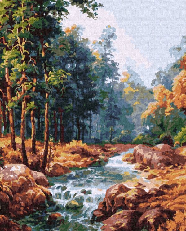 Pictura pe numere 40x50 cm KHO2882