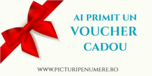 Voucher Cadou